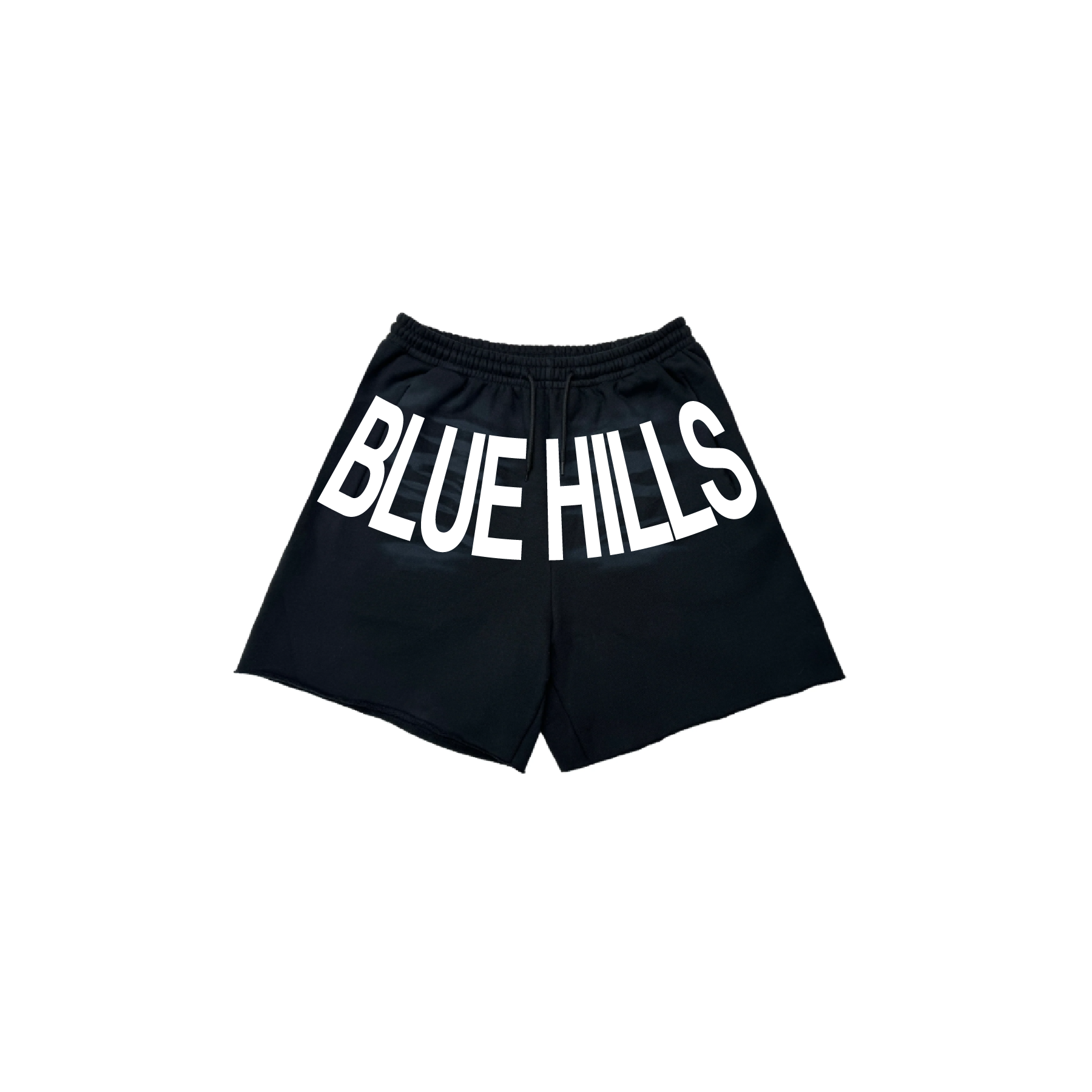 project shorts - black